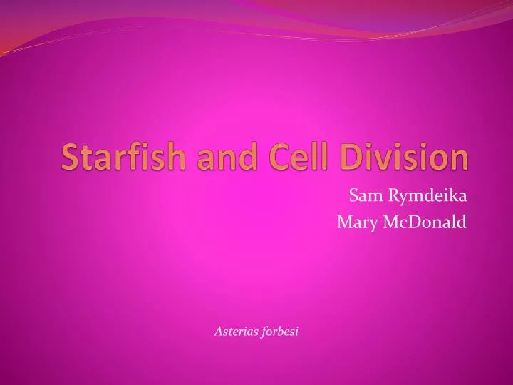 starfish and cell division