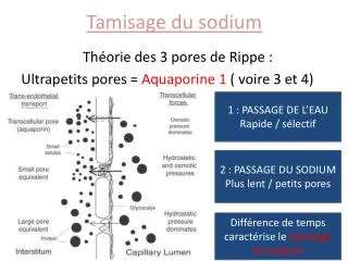 tamisage du sodium