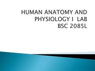 HUMAN ANATOMY AND PHYSIOLOGY I LAB BSC 2085L