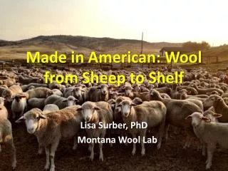 Made in American: Wool from Sheep to Shelf