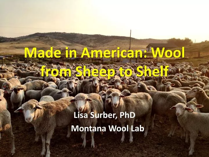 made in american wool from sheep to shelf