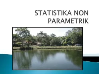 statistika non parametrik