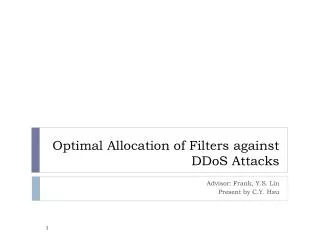 Optimal Allocation of Filters against DDoS Attacks