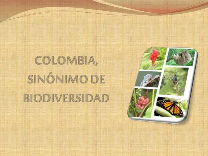 colombia sin nimo de biodiversidad