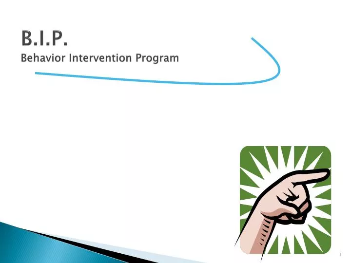 b i p behavior intervention program