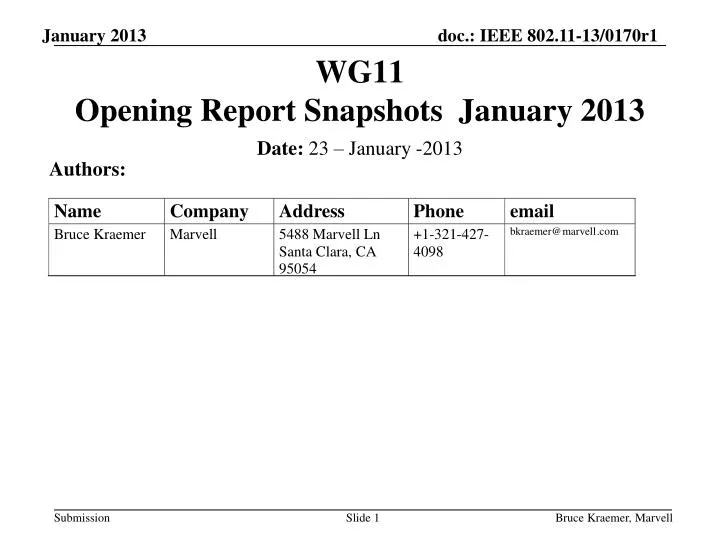 wg11 opening report snapshots january 2013