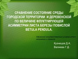 Кузнецов Д.А. Валиева Г.Д.