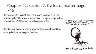 Chapter 22, section 2: Cycles of matter page 746