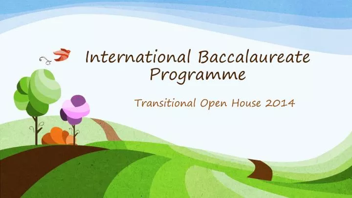 international baccalaureate programme