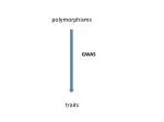 polymorphisms - slide 1