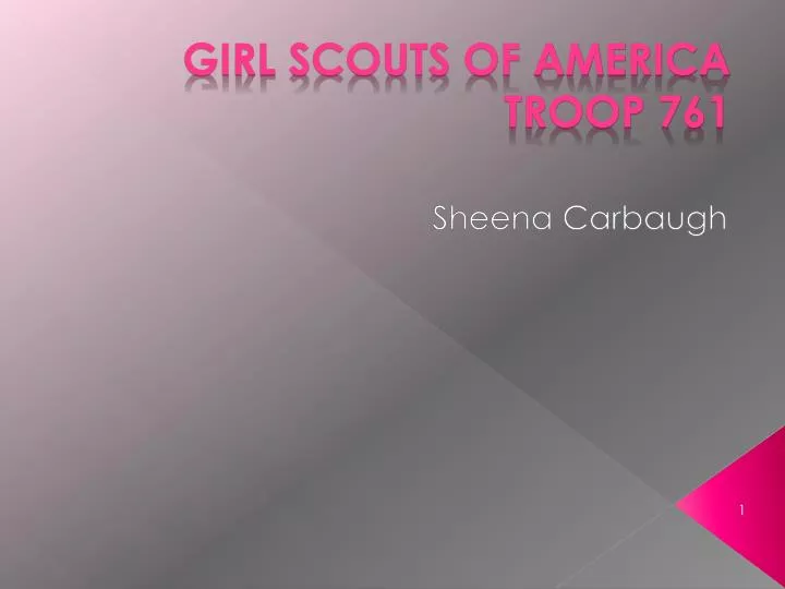 girl scouts of america troop 761