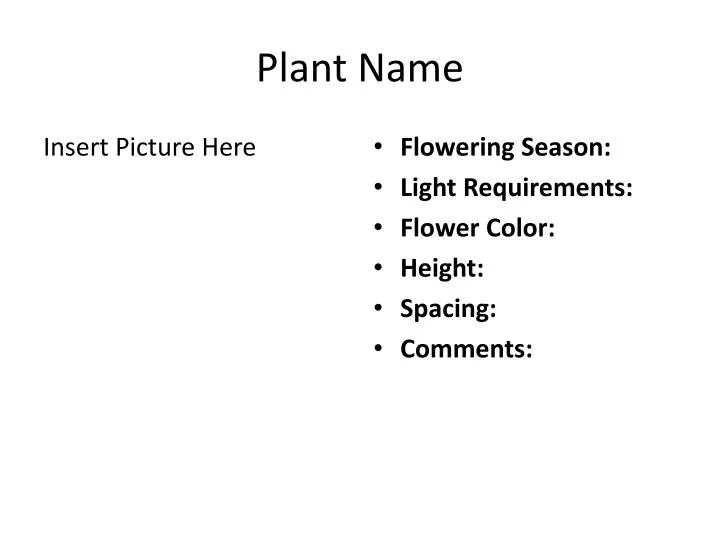 plant name