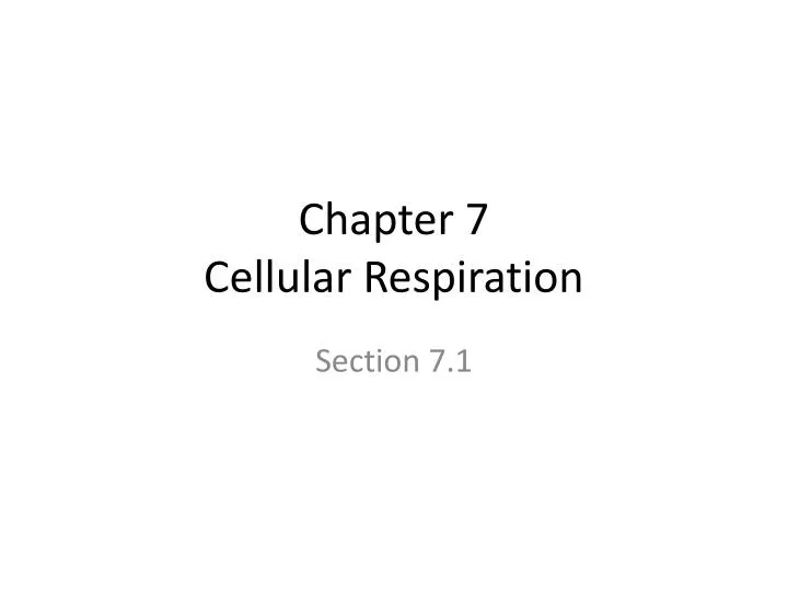 chapter 7 cellular respiration