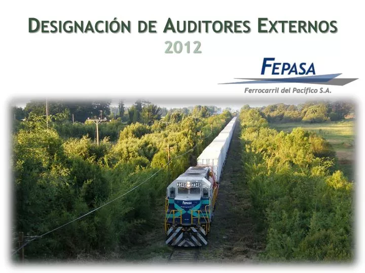 designaci n de auditores externos 2012