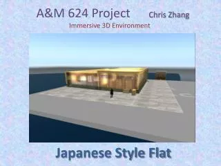 A&amp;M 624 Project Chris Zhang Immersive 3D Environment