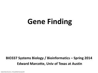 Gene Finding