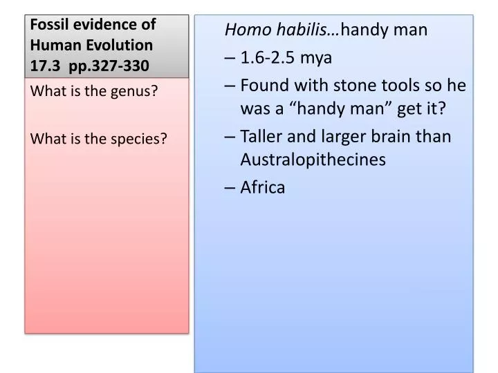 fossil evidence of human evolution 17 3 pp 327 330