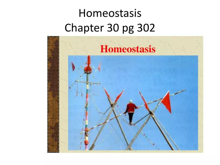 homeostasis chapter 30 pg 302