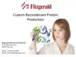 Custom Recombinant Protein Production - slide 1