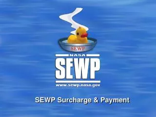 SEWP Surcharge &amp; Payment