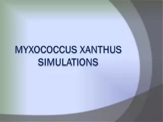 Myxococcus Xanthus SIMULATIONS