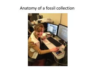 Anatomy of a fossil collection