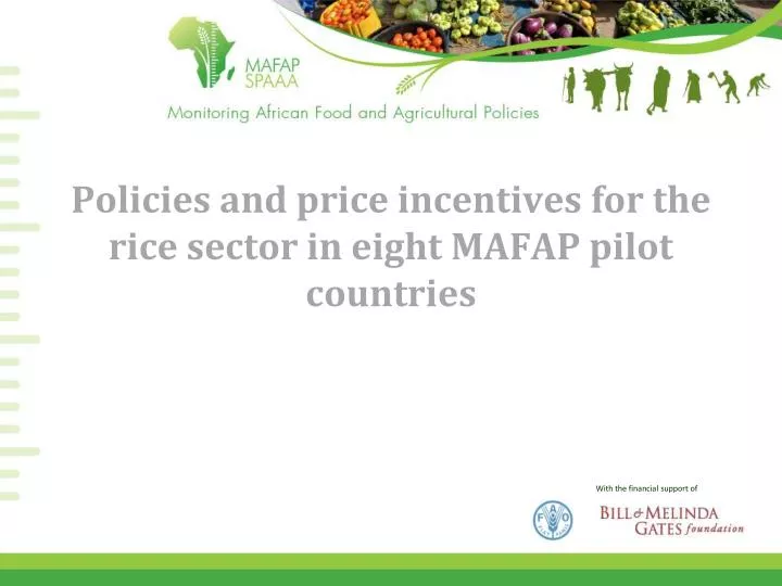 policies and price incentives for the rice sector in eight mafap pilot countries