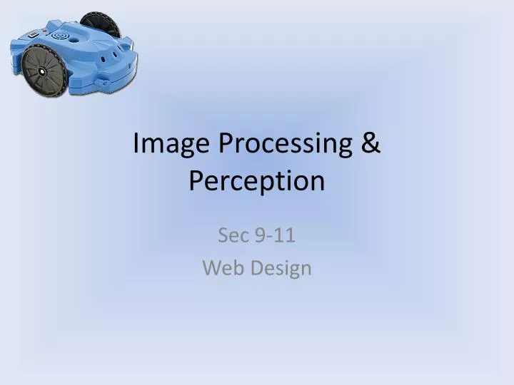 image processing perception