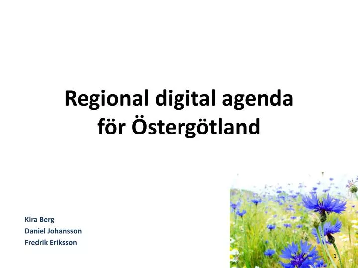 regional digital agenda f r sterg tland