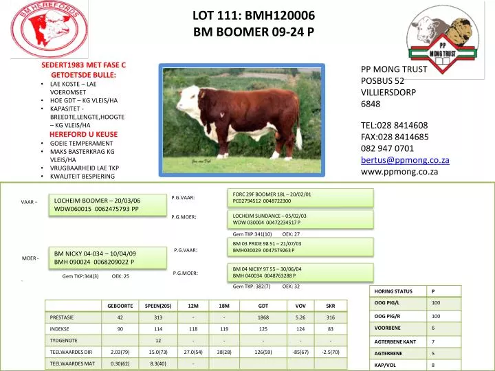 lot 111 bmh120006 bm boomer 09 24 p