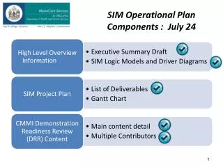 sim operational plan components july 24