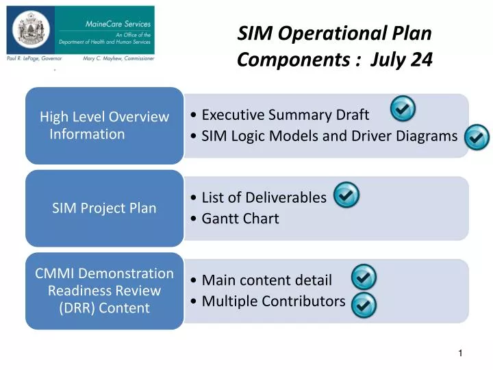 sim operational plan components july 24
