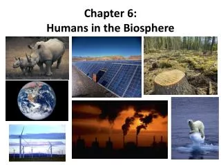 Chapter 6: Humans in the Biosphere