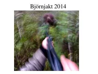 bj rnjakt 2014