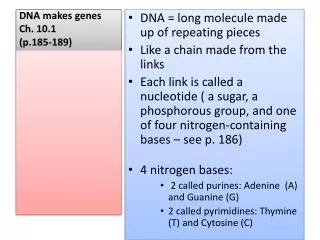 DNA makes genes Ch. 10.1 (p.185-189)