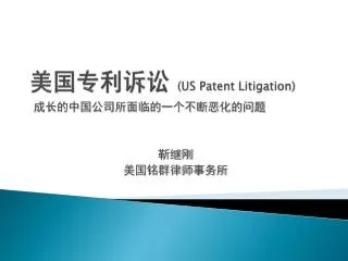 us patent litigation