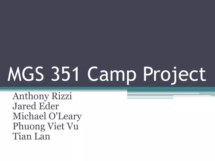 mgs 351 camp project