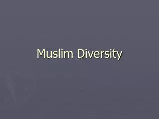 Muslim Diversity