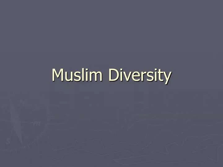 muslim diversity