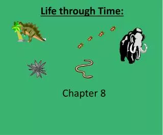 Life through Time: