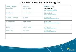 Contacts in Bravida Oil &amp; Energy AS