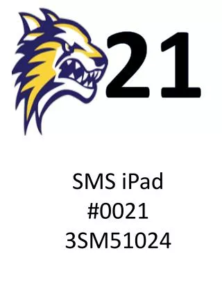 SMS iPad #0021 3SM51024