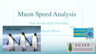 Muon Speed Analysis