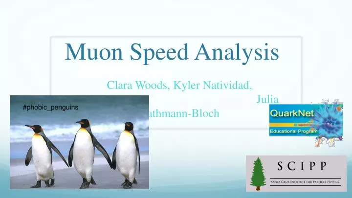 muon speed analysis