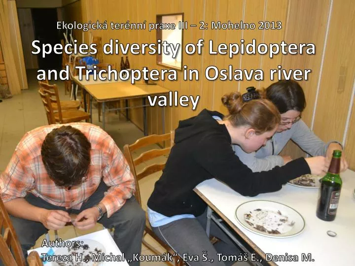 species diversity of lepidoptera and trichoptera in oslava river valley