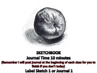SKETCHBOOK Journal Time 10 minutes