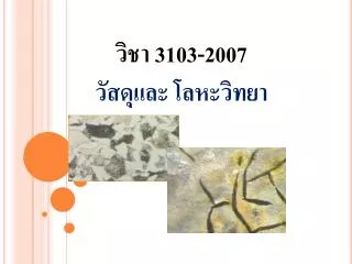 3103 2007