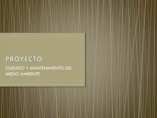 proyecto