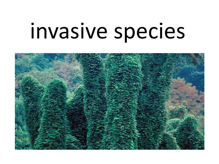 i nvasive species