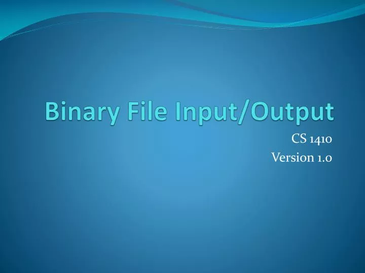 binary file input output